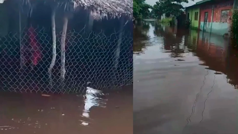 ¡Serias inundaciones en Pijijiapan! Usuarios reportan en redes los estragos de las lluvias