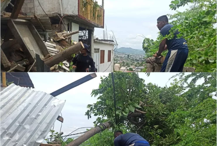 Fuertes lluvias provocan caída de árbol sobre vivienda en Acapulco