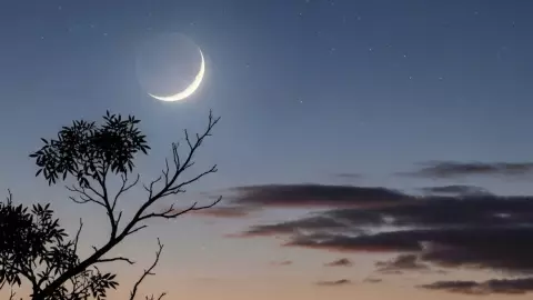 La Luna Nueva en Virgo llegará el 23 de agosto de 2025: ¿Cómo nos afectará la energía de esta “Luna Negra”?