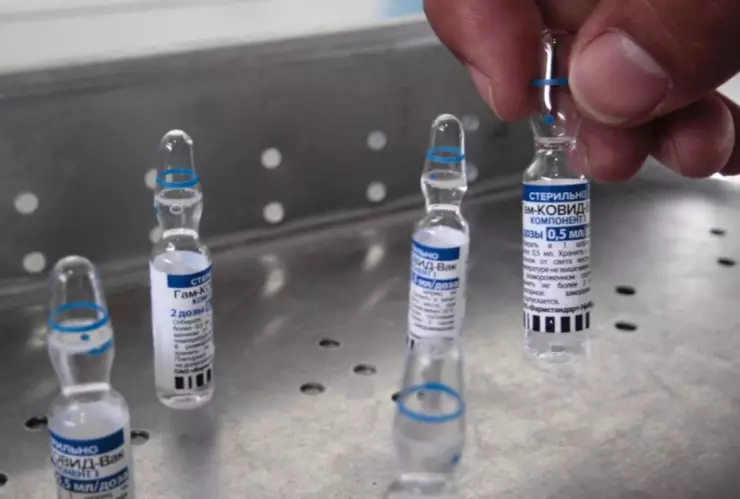 vacuna patria nasal fase final