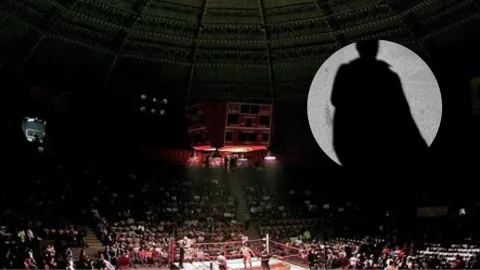 AFIRMAN HABER VISTO SOMBRA