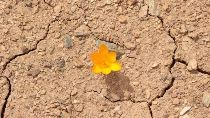 Agua potable en el planeta en riesgo