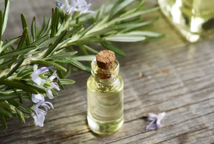 Atrae la fortuna con este ritual con base en romero