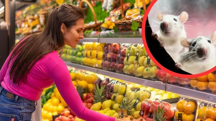 Acusan a supermercado de limpiar estantes con detergente tras clausura por plaga de ratas