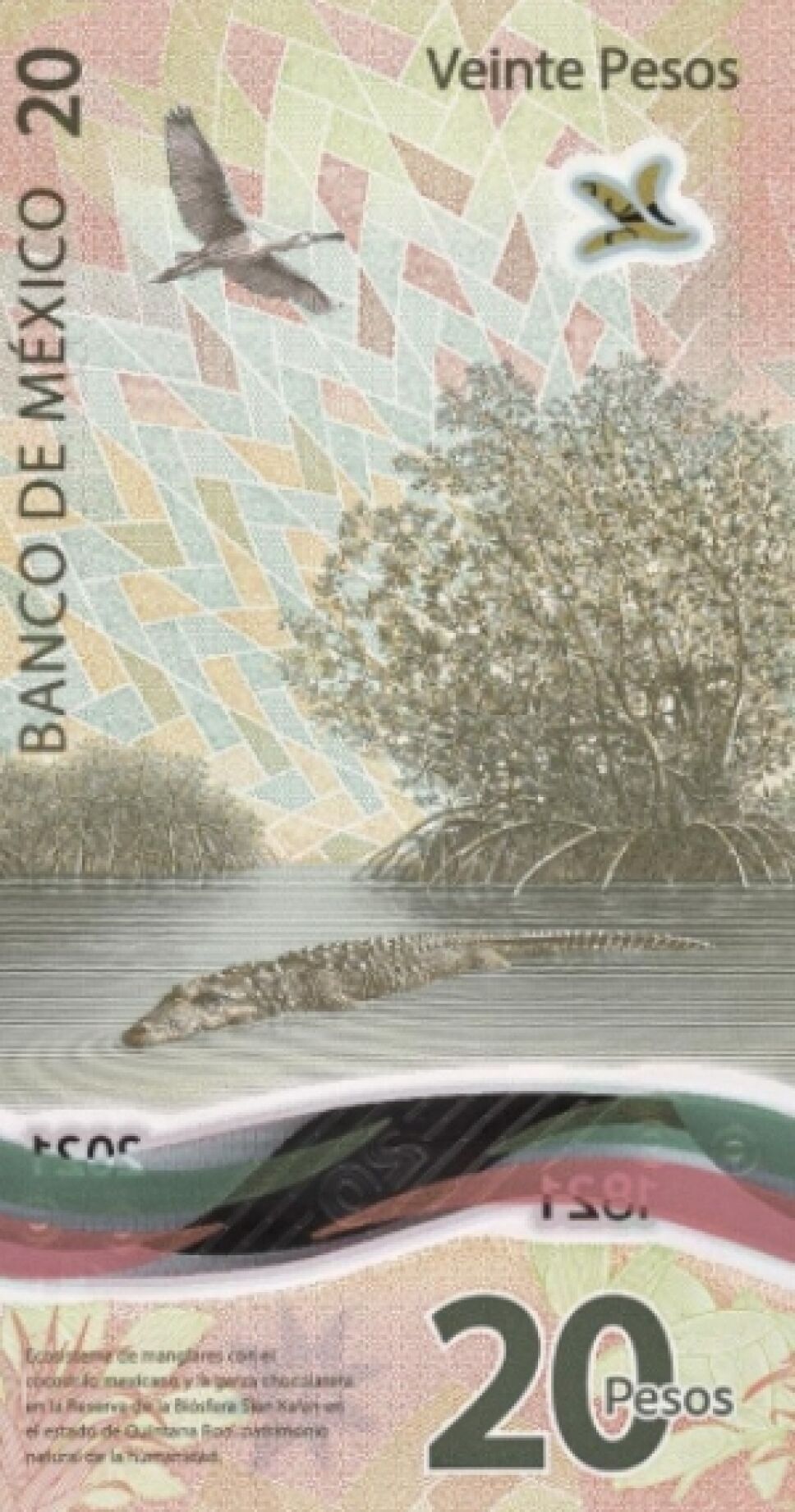 nuevo billete