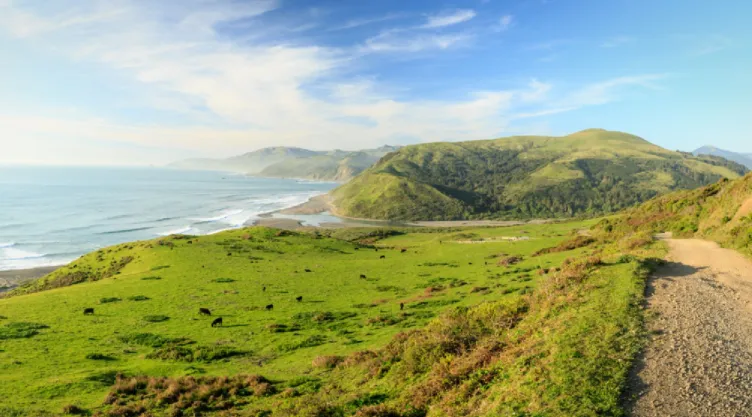 La mejor ruta costera para hacer en California.jpg