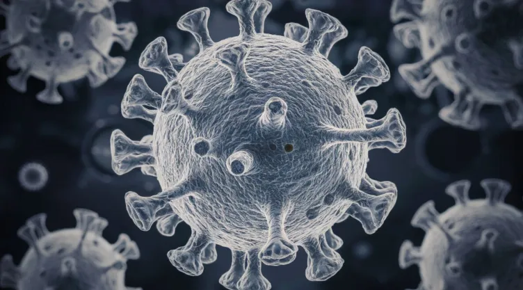 Alerta por contagios de virus Coxsackie cómo evitar contraerlo.jpg