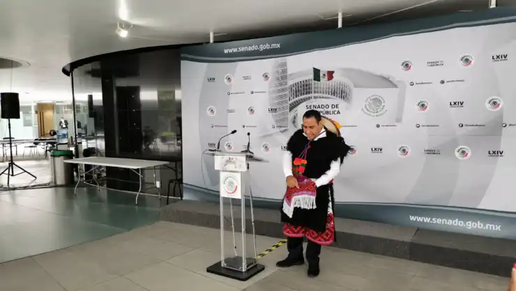 presidente del Senado.jpeg
