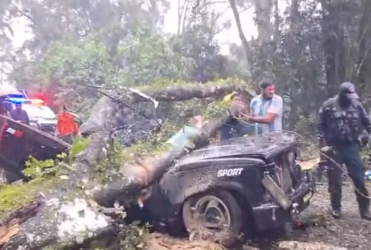 Hidalgo Acaxochitlán Árbol aplastó camioneta lluvias torrenciales muertos heridos
