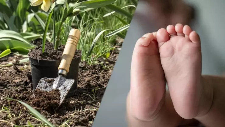 Hombre mata a su sobrina con herramienta de jardinería.jpg