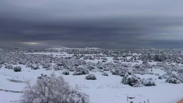Protección Civil instala centro de monitoreo en La Rumorosa por nevada