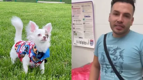 Hombre lleva a su perro a bañar y se lo entregan muerto en Colombia