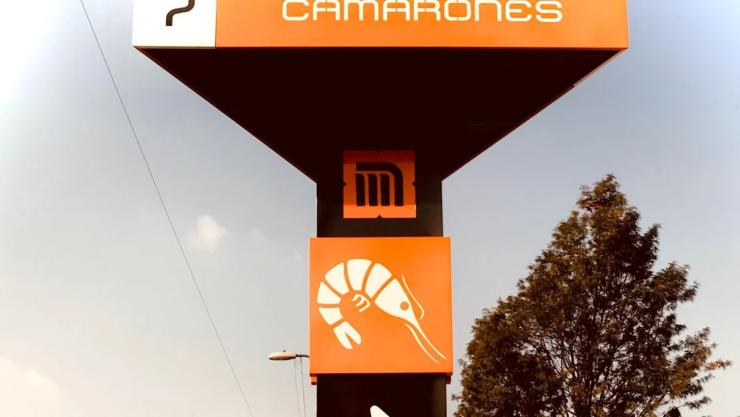 CAÍDA O CELULAR.png