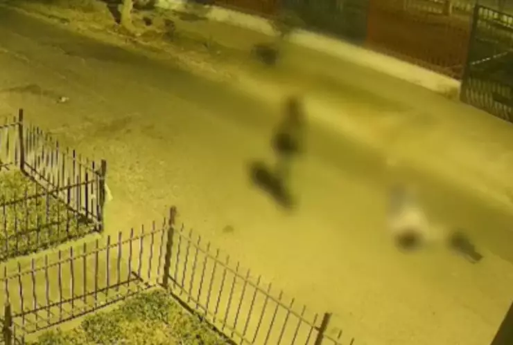 Doble asesinato en Los Ébanos: madre e hija mueren acuchilladas por menores de edad