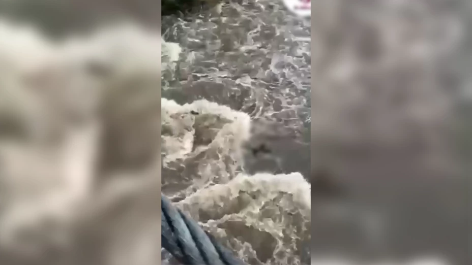 VIDEO FUERTE Localizan cuerpo en la Barranca de Huentitán Esto es lo que se sabe del hallazgo.jpg