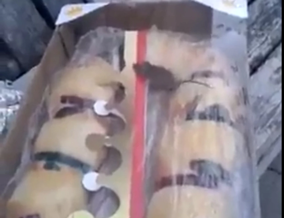 Venden Rosca de Reyes con ratón vivo