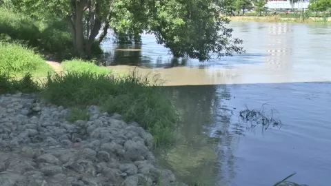 Desisten del sueño americano