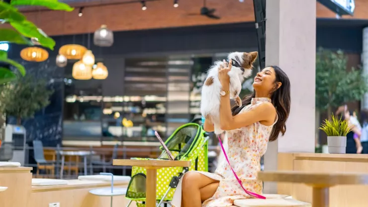 Lugares “pet friendly” en la Ciudad de México