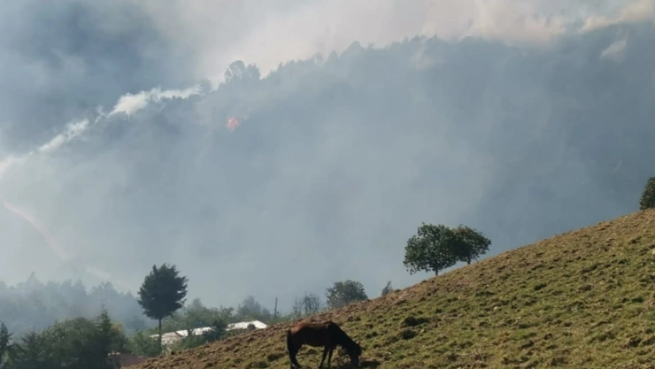 incendio forestal