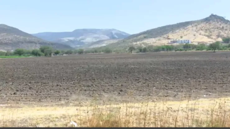 Campos secos en Guanajuato