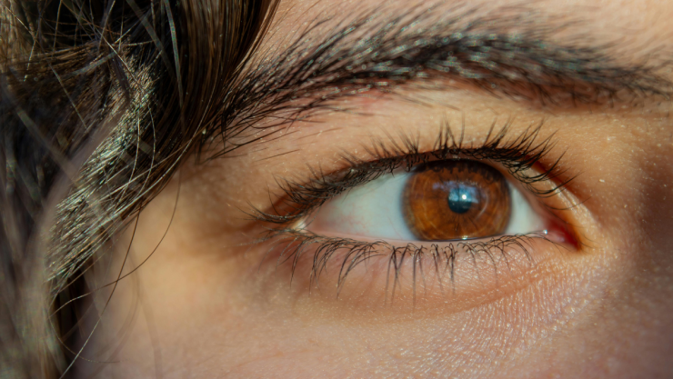 ojos cafés.png