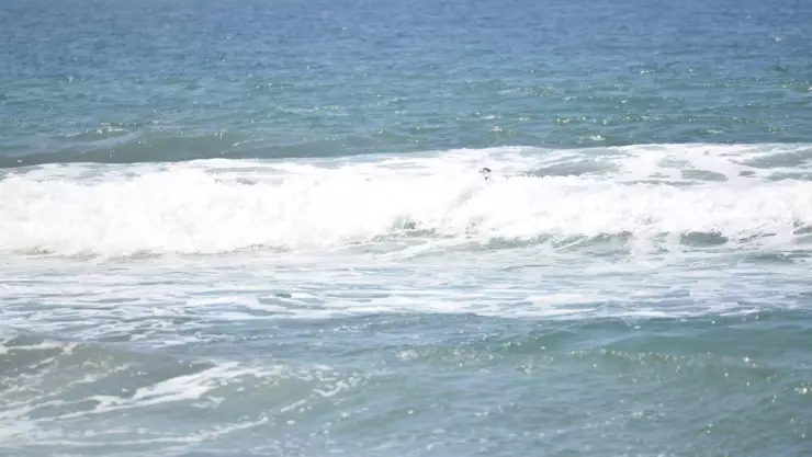 Alerta de mar de fondo Oleaje de hasta 2.7 metros afectará las costas de Guerrero.jpg