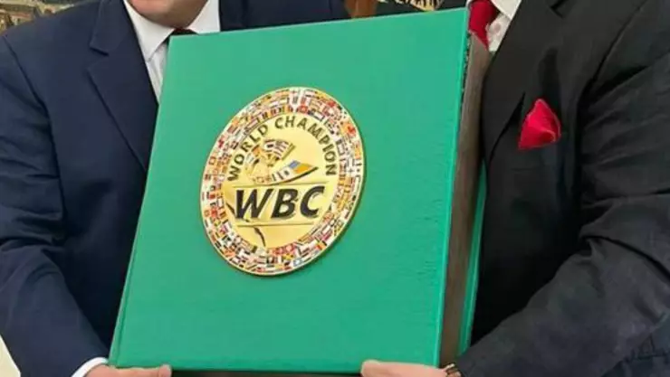 libro de las peleas mejores peleas en la historia del consejo mundial de boxeo