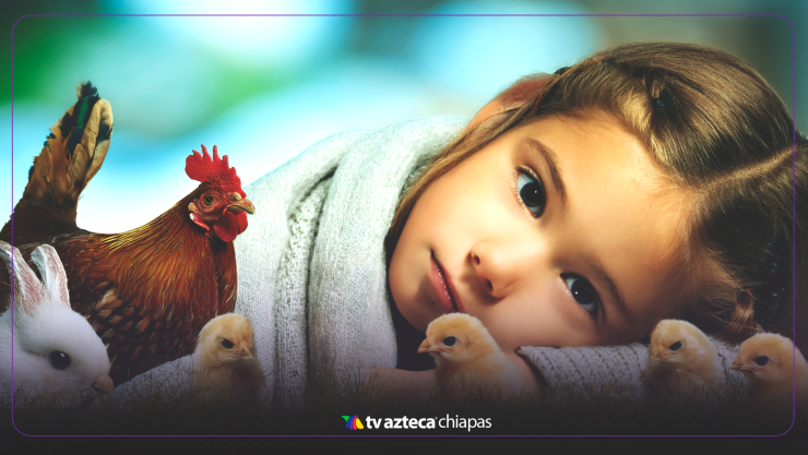 Alerta en México 2025: Confirman primer caso humano de influenza aviar H5N1 en Durango; niña de 3 años se encuentra grave