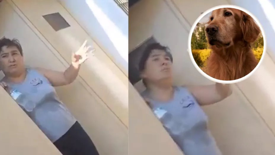 perrito carnicería Argentina