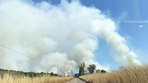 Incendio forestal Jalisco hoy en el municipio de Mascota
