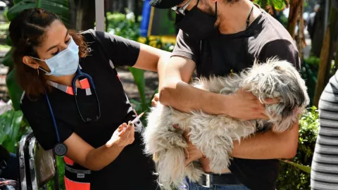 Vacunas y otros servicios para mascotas.jpg