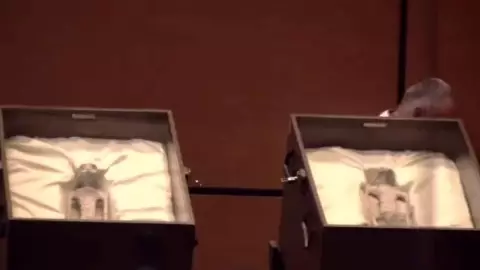 VIDEO_ Jaime Maussan presenta cuerpos NO humanos a la Cámara de Diputados