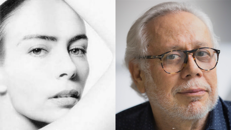 sasha sokol luis de llano tesis jurisprudencia.png