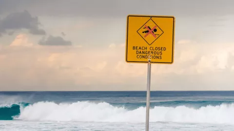 FOTO: Un tiburón muerde a hombre en playa de Florida, Estados Unidos.