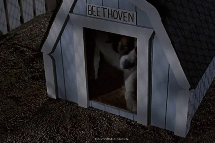 ¿Qué pasó con la actriz Sarah Rose Karr? La recordarás por el personaje de Emily Newton en Beethoven, entérate dónde está ahora.