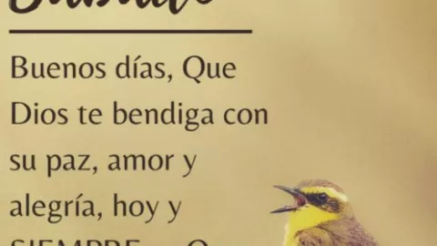 Imágenes de buenos días sábado para redes sociales y WhatsApp