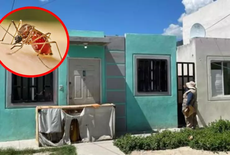 Niña muere por picadura de garrapata y dengue en Escobedo, Nuevo León