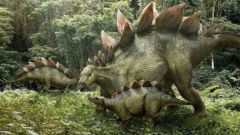 Dinosaurio, gato, huella.jpg