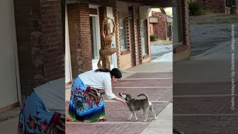 Lily Gladstone nominada al Oscar (2).jpg