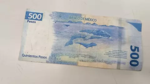 Alertan por billetes falsos en restaurantes de Culiacán