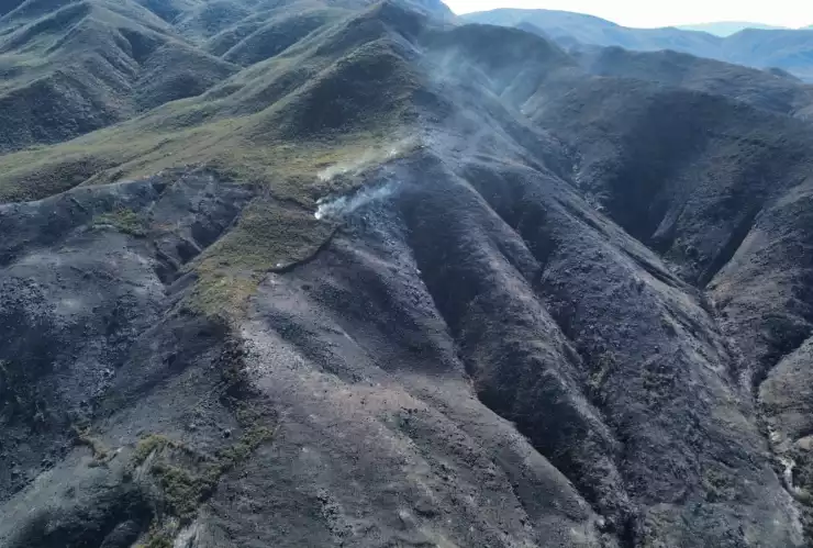 Incendio carretera Ensenada-Ojos Negros enero 2025