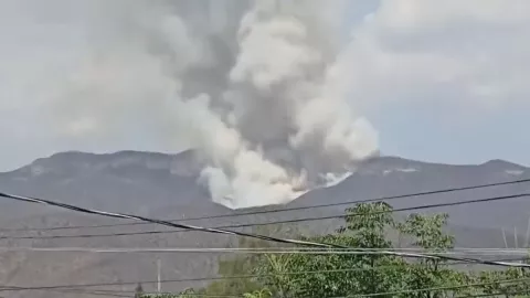 Incendio arrasa el cerro Colorado provoca enorme columna de humo en Tehuacán HOY