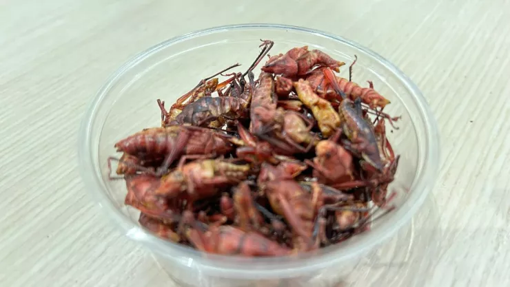 Chapulines preparados