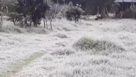 Helada San Cristóbal 1