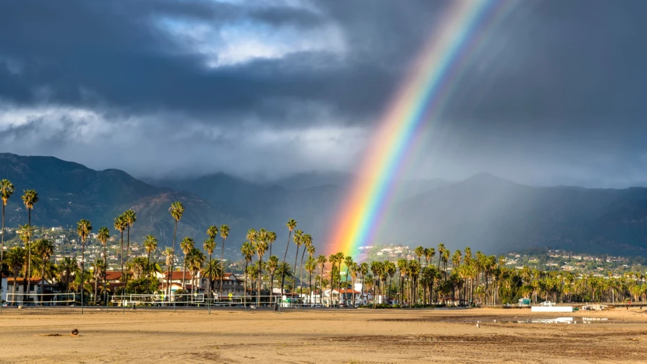 El arcoíris se recuesta detrás de las palmeras en una playa de California, luego de la lluvia