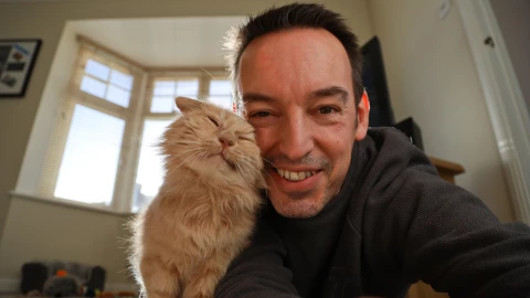 7 beneficios de los gatos como mascotas