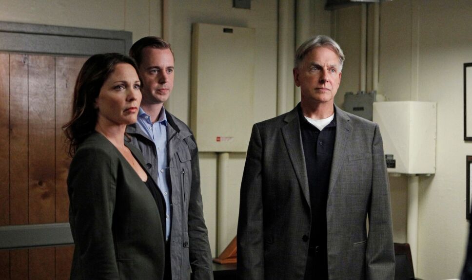 celebridades que no viste en ncis