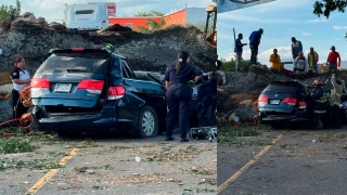Accidente en Jutiapa: enorme árbol aplasta vehículo y deja cuatro muertos y cuatro heridos