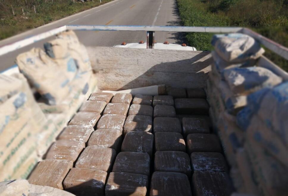 Decomiso marihuana en Yucatán.jpeg