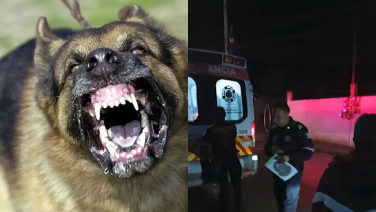 ¡FUERTES IMÁGENES! Mujer es ferozmente atacada por un perro y casi pierde la pierna en Puebla